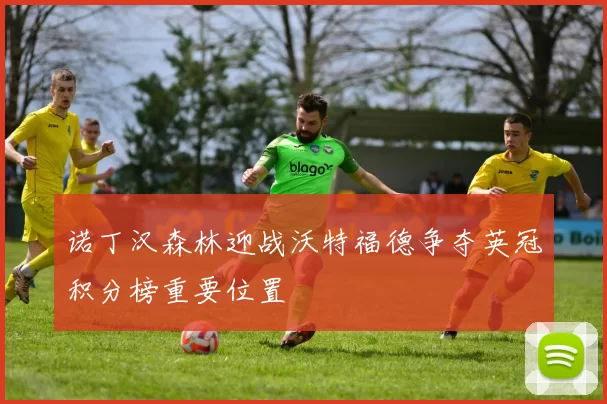 诺丁汉森林迎战沃特福德争夺英冠积分榜重要位置