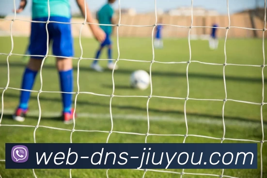 JIUYOU.COM发展历程